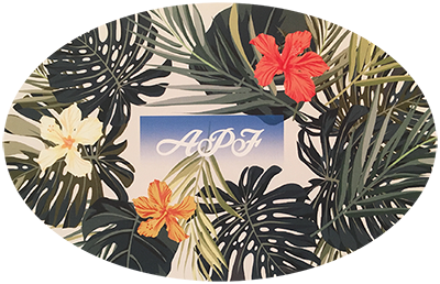 business card apf small 2