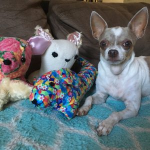 Stuffed Animals